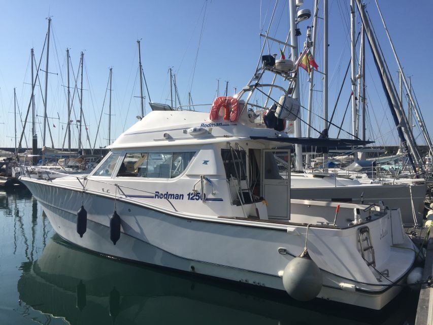 Cascais Deep-Sea Fishing Trip - The catch: which species you can realistically expect