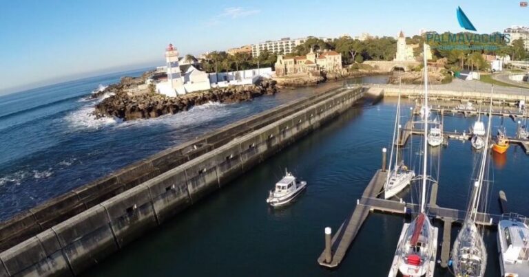 Cascais Deep-Sea Fishing Trip - What you’re paying for: gear, licenses, bait, and real fishing focus