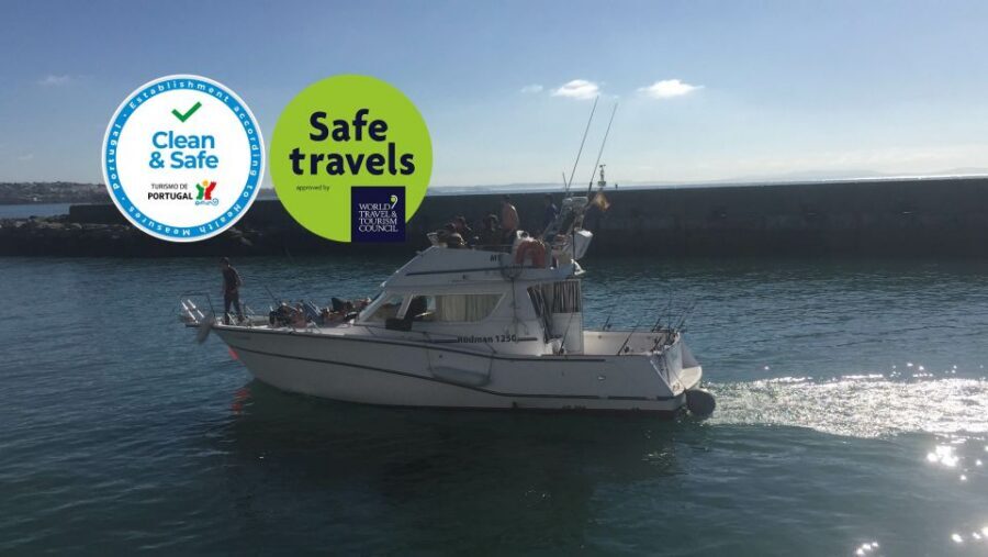 Cascais Deep-Sea Fishing Trip - Weather, seasickness, and who should skip it