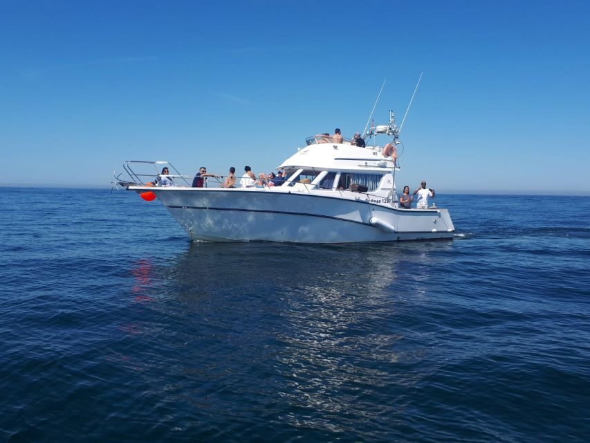 Cascais Deep-Sea Fishing Trip - Who this fishing trip suits best in Lisbon District