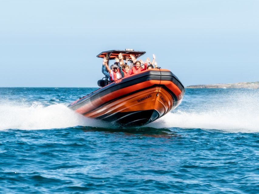 Cascais: Dolphin Watching Tour - Key highlights you’ll care about