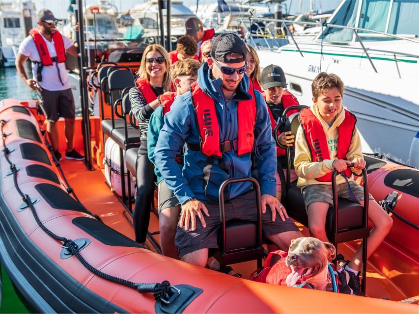 Cascais: Dolphin Watching Tour - The 2-hour outing: what “the route of encounters” really means