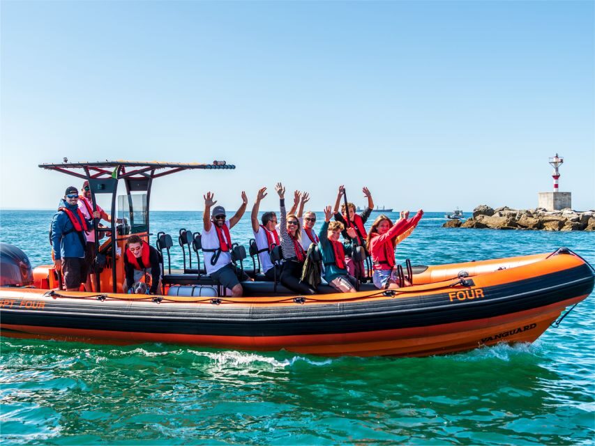 Cascais: Dolphin Watching Tour - When sightings are most likely: weather, sea, and light