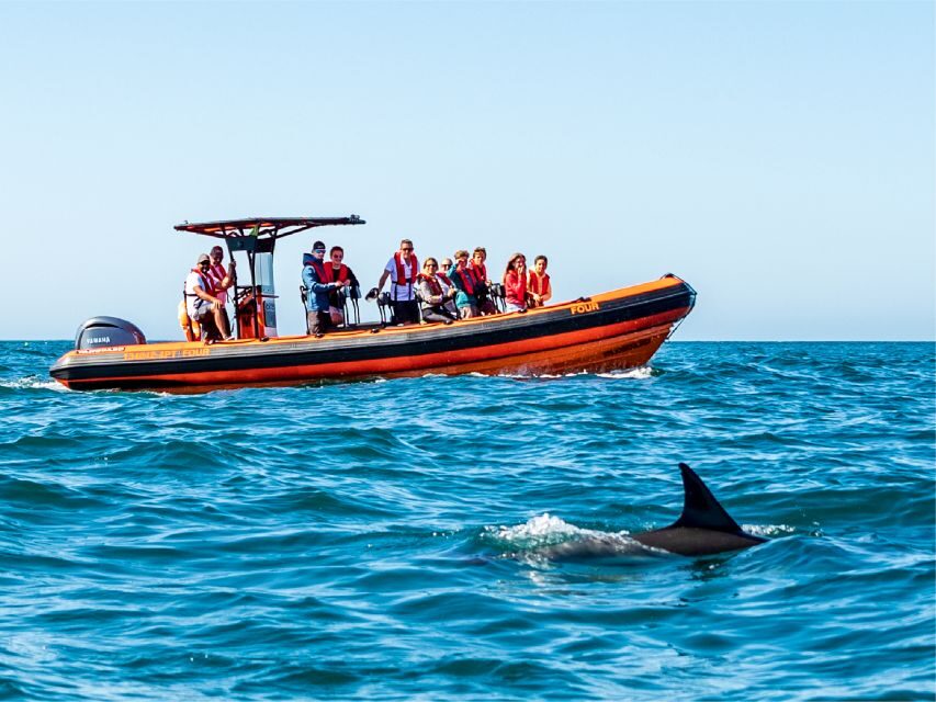 Cascais: Dolphin Watching Tour - Who this tour suits best (and who should skip)