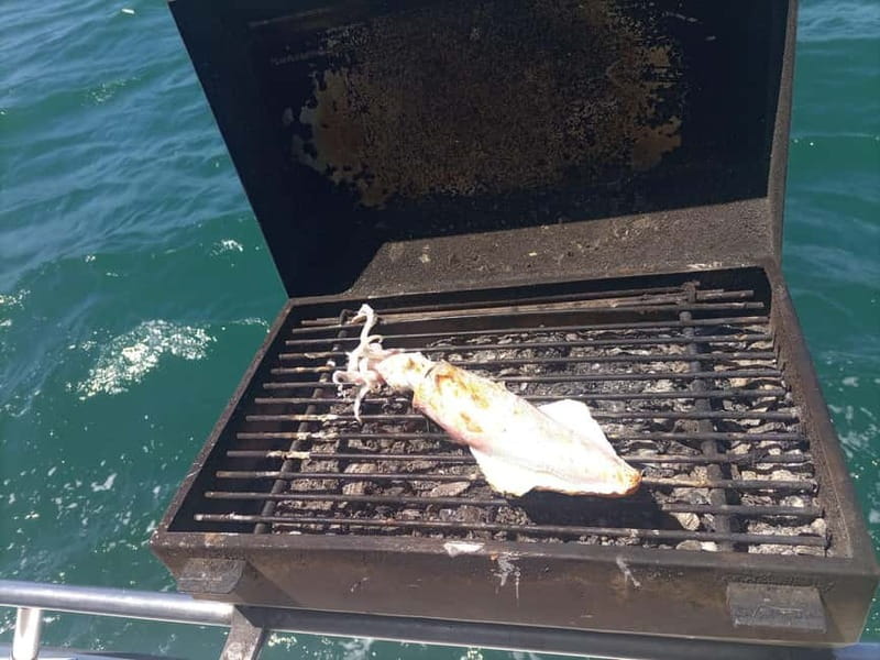Cascais: Half-Day Fishing Trip - Secret Spots, Real Conditions: Why the Plan Can Change