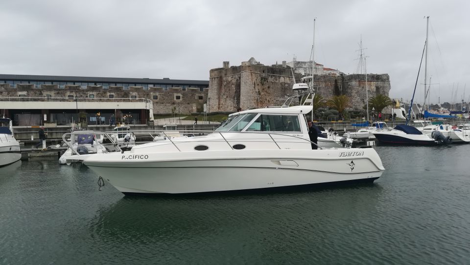 Cascais: Half-Day Fishing Trip - Views Over Cascais and Sintra While You’re Actually Doing Something
