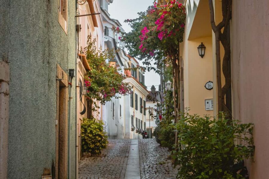 Cascais: Private & Flexible Walking Tour in Historic Center - Price and Time: What You Get for About $9