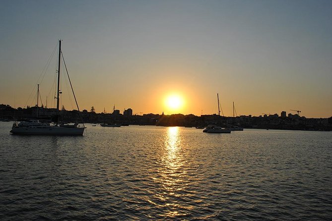 Cascais Private Luxury Sunset 2h Cruise with a drink - Dolphins and birds: the moment the cruise stops being just sightseeing