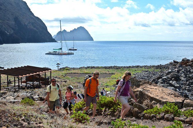 Catamaran Day Cruise to Desertas Islands from Funchal - Quick take: the Desertas cruise in 5 minutes