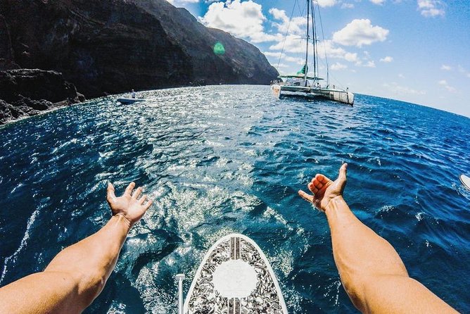 Catamaran Day Cruise to Desertas Islands from Funchal - Your day at a glance: a steady 9 hours at sea speed