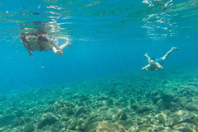 Catamaran Day Cruise to Desertas Islands from Funchal - On-board live commentary and the Madeiran buffet lunch