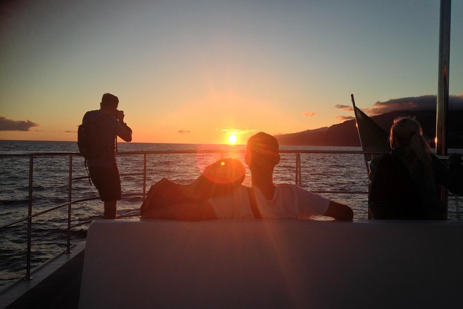 Catamaran Sunset Cruise from Funchal - Why This Sunset Cruise Works in Funchal
