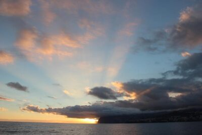 Catamaran Sunset Cruise from Funchal - Dolphins and Whales: How to Think About the Wildlife Chance