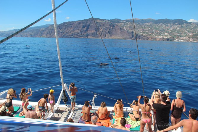 Catamaran Sunset Cruise from Funchal - What to Bring (So the Evening Feels Easy)