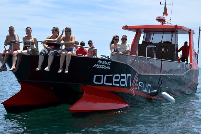Catamaran Tour to Benagil Caves - Key highlights worth targeting