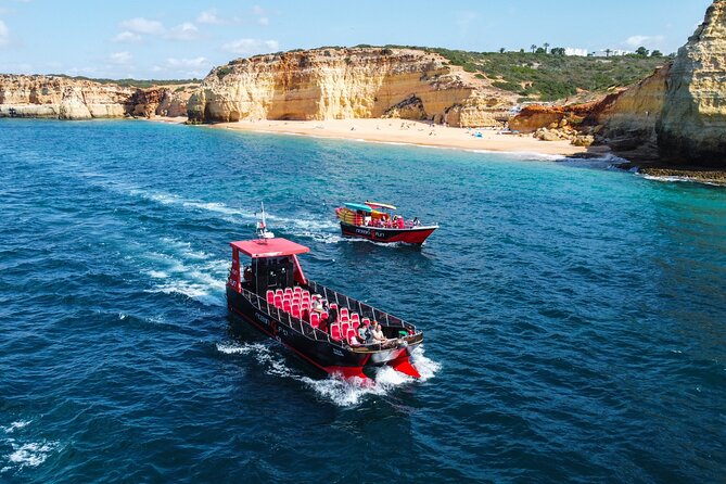 Catamaran Tour to Benagil Caves - Price and Value: Why This Works at $31.46