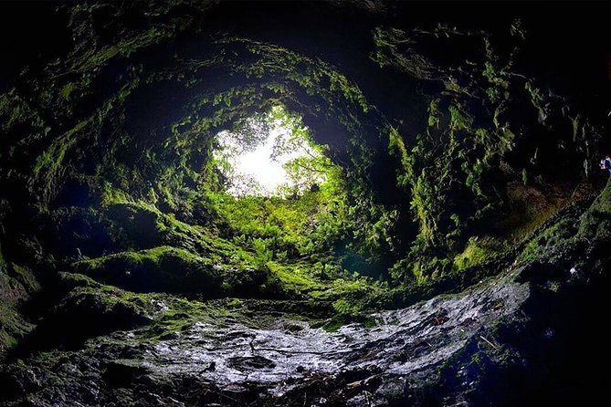 Cave Tour in Terceira - Price and what you’re actually buying for $54.07
