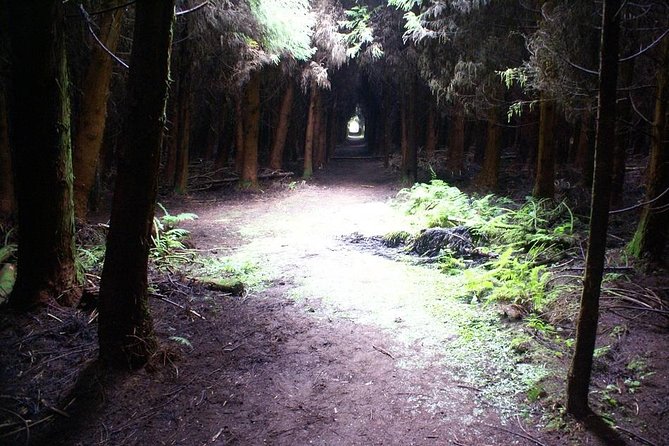 Cave Tour in Terceira - Stop 1: Gruta do Natal and the lava-tube geology