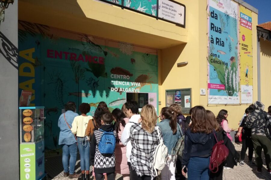 CCVAlgarve Individual Ticket - The 3-D printer and why it fits this museum’s style