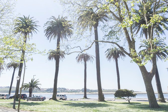 City Bike Rental in Porto - Who this Porto bike rental is best for (and who might skip it)