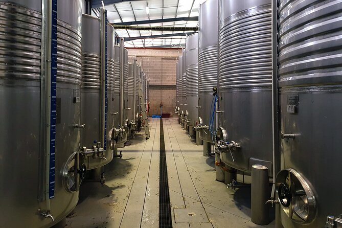 Classic Tasting | Quinta de Santa Cristina Vinho Verde - The tasting room view: why the space affects your tasting