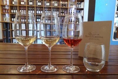 Classic Tasting | Quinta de Santa Cristina Vinho Verde - Winery tour: from grapes to bottling time