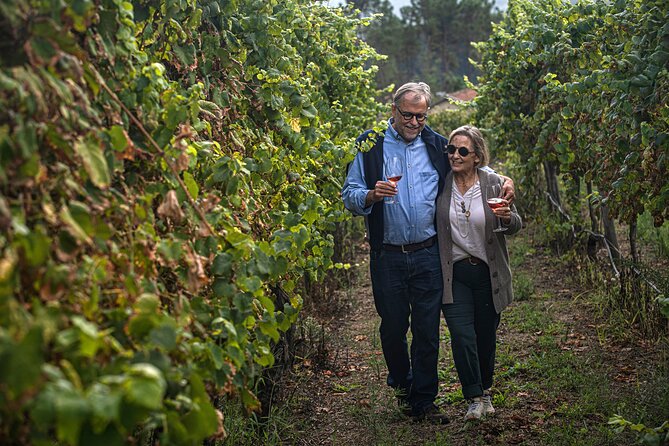 Classic Tasting | Quinta de Santa Cristina Vinho Verde - Snacks, Wi-Fi, and the small comforts you don’t notice until you’re there