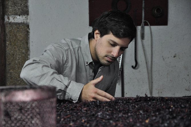 Classic Wine Tasting with GUIDED TOUR - Quinta do Beijo: a classic tasting built around place and process