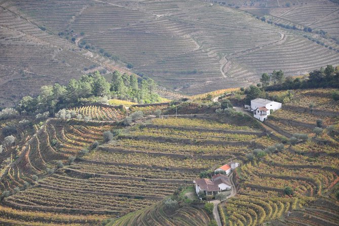 Classic Wine Tasting with GUIDED TOUR - Who this tour is best for