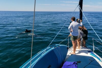 Coastal Tour on a Luxury Sailing Yacht - Vilamoura(Max 12 Guests) - A Tiny Beach That’s Boat-Only at High Tide