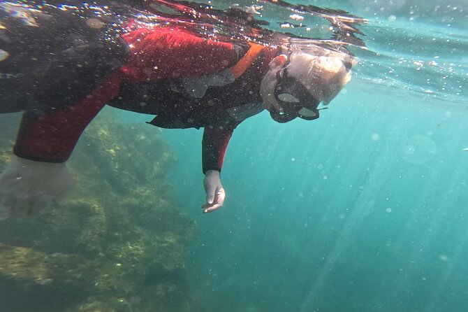 Coasteering in Caloura (Sao Miguel - Azores) - Snorkeling the Atlantic: what marine life time is like