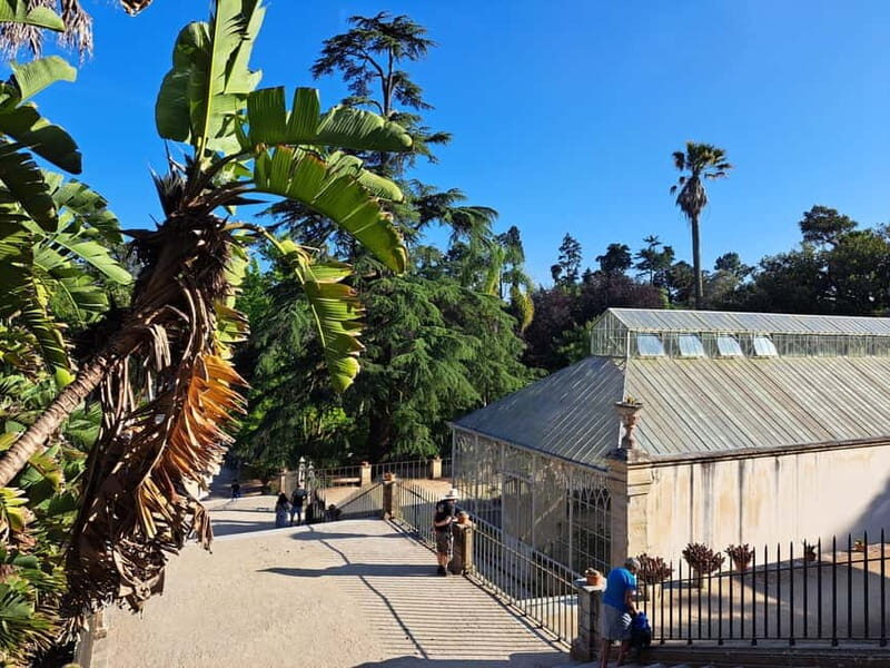 Coimbra: Adventure, Discovery & Learning with a Local - Who this tour fits best (and who should skip it)