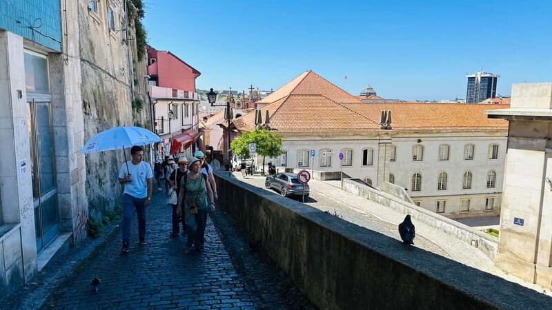 Coimbra & Aveiro Experience: From Porto All-Included - Coimbra University (Joanina Library Optional): Choose Your Nerd Level