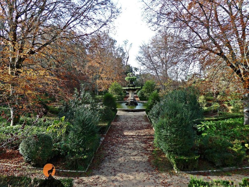Coimbra: Discover the Charms and Highlights Walking Tour - Joanina Library and the Botanical Garden Stops (What You’ll Actually See)