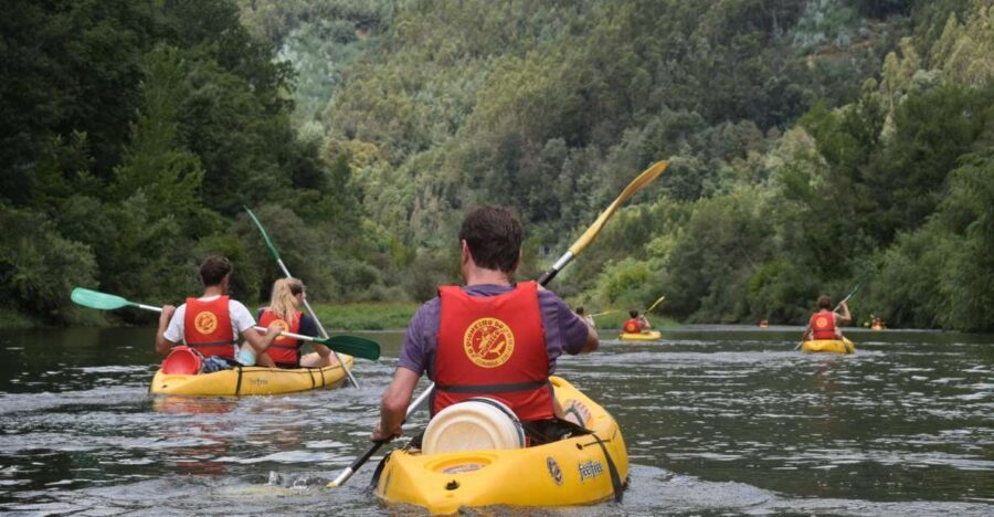 Coimbra: Mondego River Kayaking Tour - Key Things I’d Pay Attention To