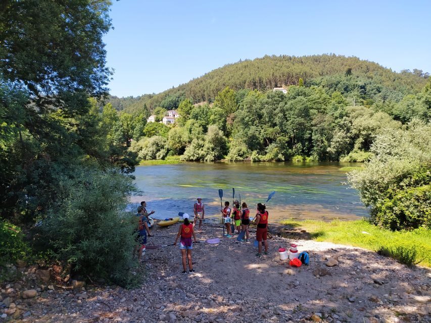 Coimbra: Mondego River Kayaking Tour - The 18 km Downriver Route: Forests, Villages, and River Beaches