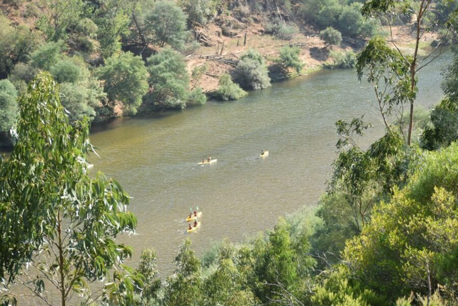 Coimbra: Mondego River Kayaking Tour - Lunch and Break Time: How the Day Really Moves