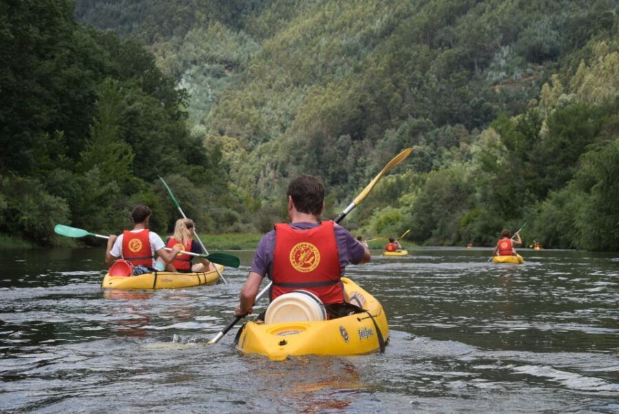 Coimbra: Mondego River Kayaking Tour - From Penacova to the Start Line: What Happens Before You Paddle
