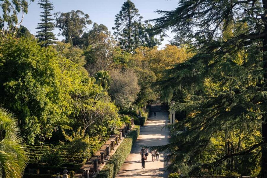Coimbra: Private & Flexible Walking Tour in Historic Center - The Museum of Natural History for science-minded walkers