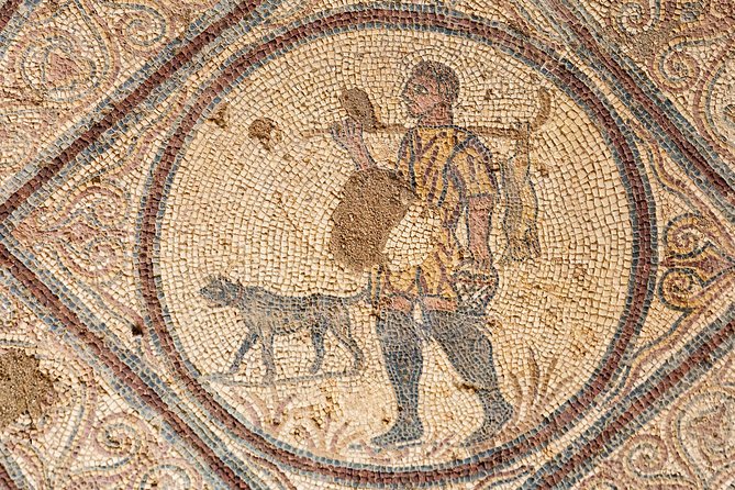 Conímbriga Roman Ruins & Museum | Private Tour - Conímbriga feels different when you understand what you’re seeing