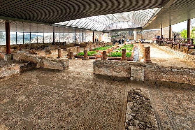 Conímbriga Roman Ruins & Museum | Private Tour - Private tour pacing: comfort, pickup, and questions that actually get answered