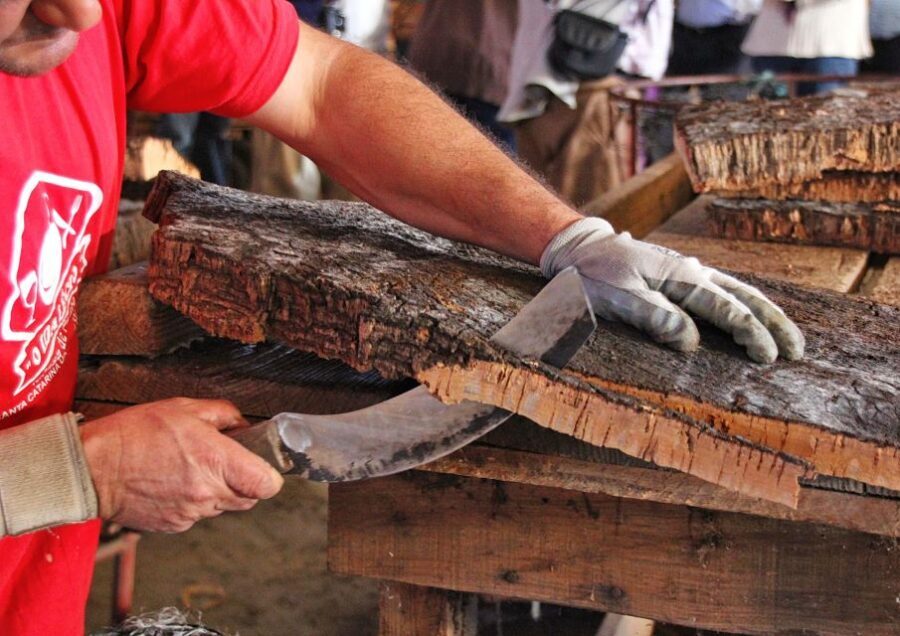 Cork Factory Tour - Key things that make this tour worth your time
