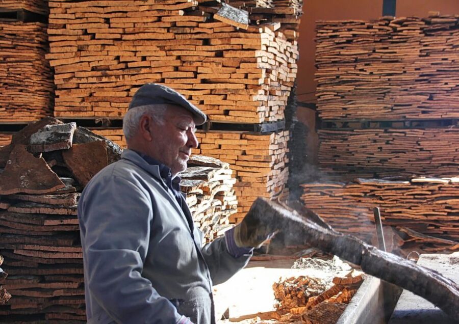 Cork Factory Tour - Eco-Cork Factory in São Brás de Alportel: what 50 minutes feels like