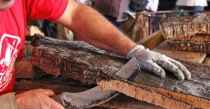 Cork Factory Tour - The cork process: from harvesting to prep and packing