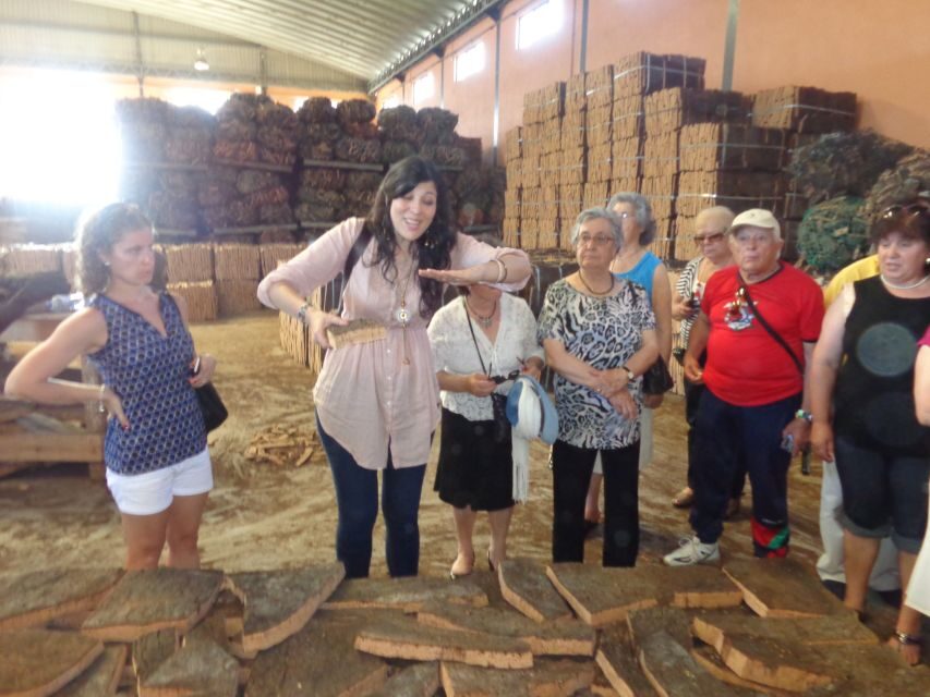 Cork Factory Tour - Location and logistics: getting to Eco-Cork Factory without stress