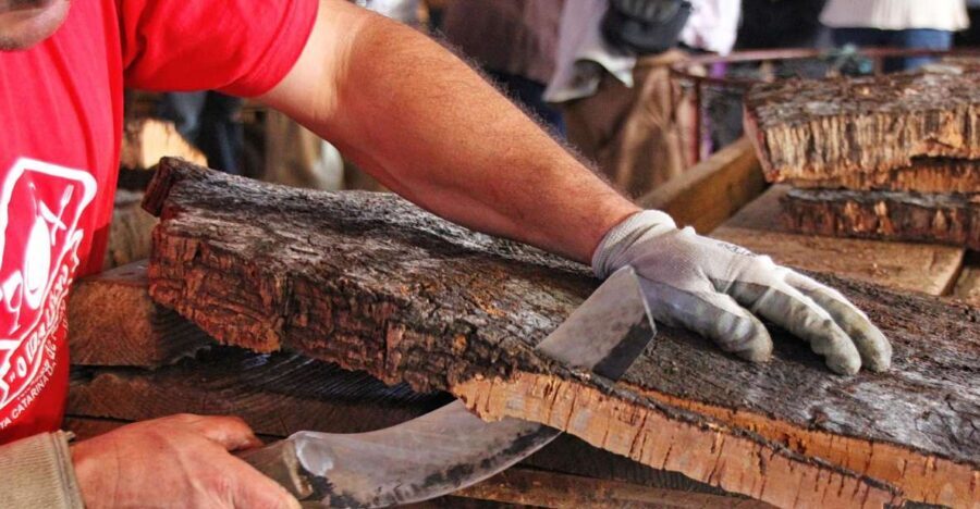 Cork Factory Tour - The cork process: from harvesting to prep and packing