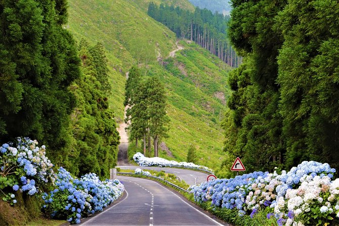 Cruise Travellers: Sete Cidades Volcano, The Blue & Green Lake - Stop 5: Back to Ponta Delgada, with drop-off options