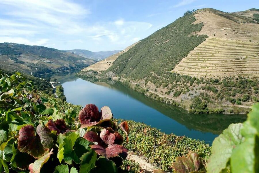 Day Cruise from Porto to Pinhão with Breakfast and Lunch - Crestuma-Lever Dam timing: lunch with the view working overtime