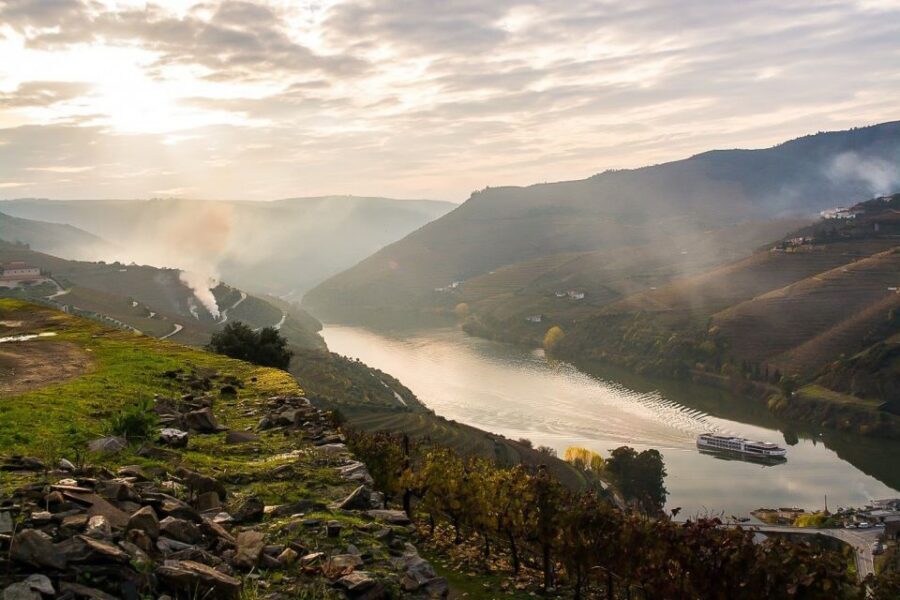 Day Cruise from Porto to Pinhão with Breakfast and Lunch - Pinhão winery visit: tastings, plus what to expect