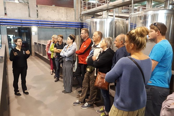 Day trip Lisbon Wine Tasting - Private tour - Manzwine in Cheleiros: Ancient-School Barrels and the Jampal Moment